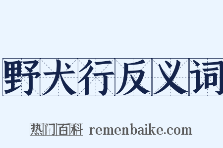 野犬行反义词是什么意思的图片
